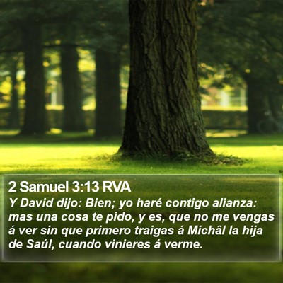 2 Samuel 3:13 RVA Bible Verse Image