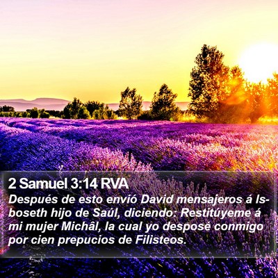 2 Samuel 3:14 RVA Bible Verse Image
