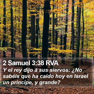 2 Samuel 3:38 RVA Bible Verse Image