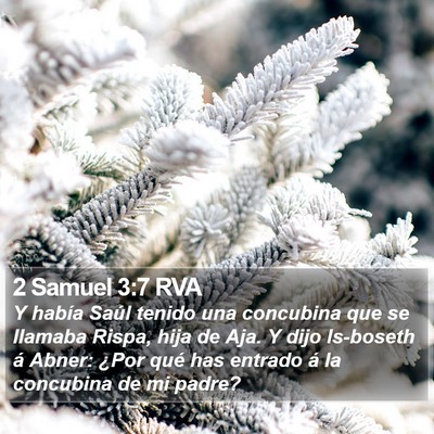 2 Samuel 3:7 RVA Bible Verse Image