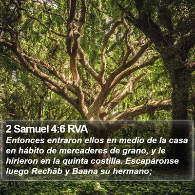 2 Samuel 4:6 RVA Bible Verse Image