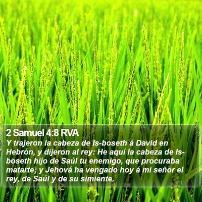 2 Samuel 4:8 RVA Bible Verse Image