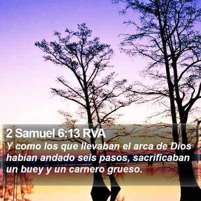 2 Samuel 6:13 RVA Bible Verse Image