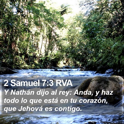 2 Samuel 7:3 RVA Bible Verse Image