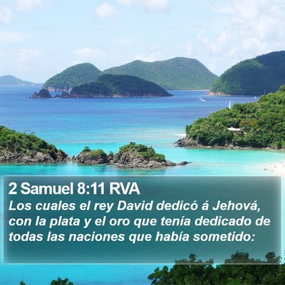 2 Samuel 8:11 RVA Bible Verse Image