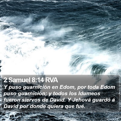 2 Samuel 8:14 RVA Bible Verse Image