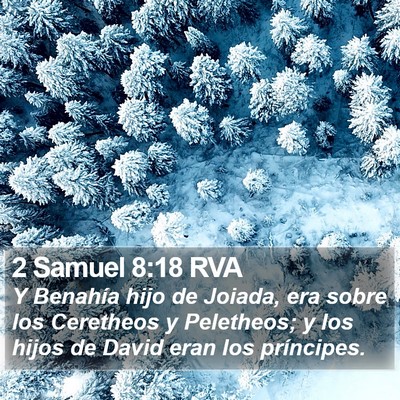 2 Samuel 8:18 RVA Bible Verse Image