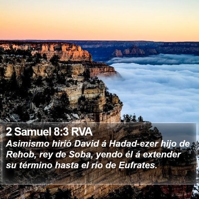 2 Samuel 8:3 RVA Bible Verse Image