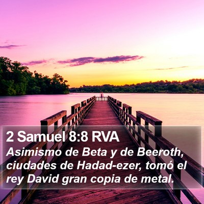 2 Samuel 8:8 RVA Bible Verse Image