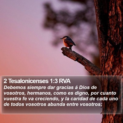 2 Tesalonicenses 1:3 RVA Bible Verse Image