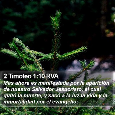 2 Timoteo 1:10 RVA Bible Verse Image
