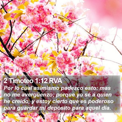 2 Timoteo 1:12 RVA Bible Verse Image