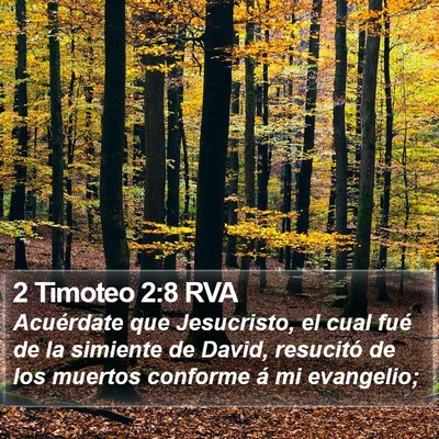 2 Timoteo 2:8 RVA Bible Verse Image
