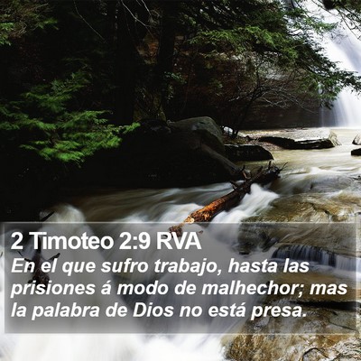 2 Timoteo 2:9 RVA Bible Verse Image