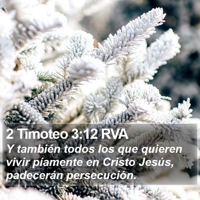 2 Timoteo 3:12 RVA Bible Verse Image