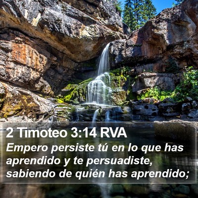 2 Timoteo 3:14 RVA Bible Verse Image