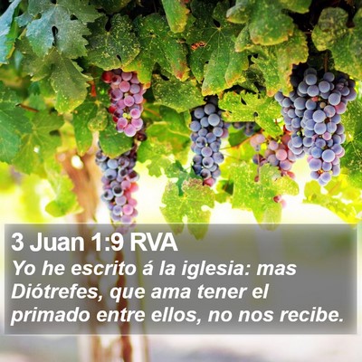 3 Juan 1:9 RVA Bible Verse Image