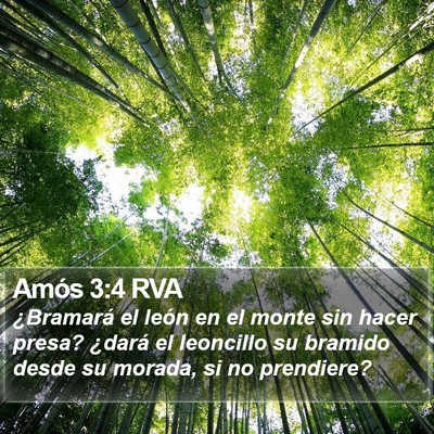 Amós 3:4 RVA Bible Verse Image