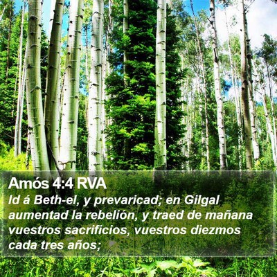 Amós 4:4 RVA Bible Verse Image