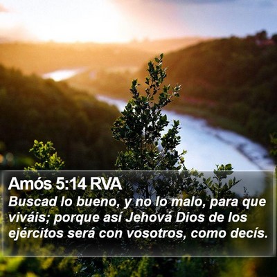 Amós 5:14 RVA Bible Verse Image