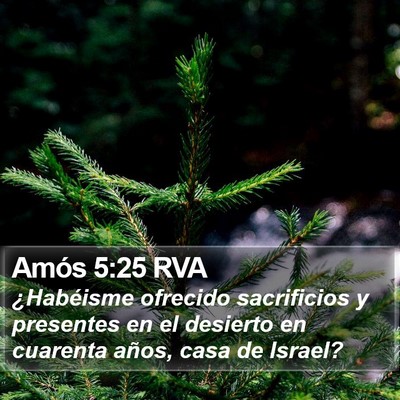 Amós 5:25 RVA Bible Verse Image