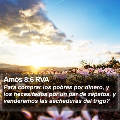 Amós 8:6 RVA Bible Verse Image