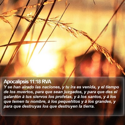 Apocalipsis 11:18 RVA Bible Verse Image