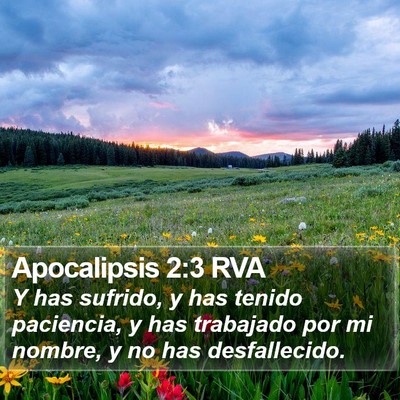 Apocalipsis 2:3 RVA Bible Verse Image
