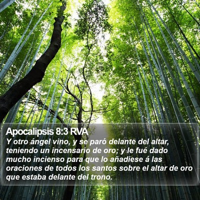 Apocalipsis 8:3 RVA Bible Verse Image