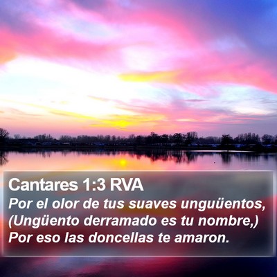 Cantares 1:3 RVA Bible Verse Image