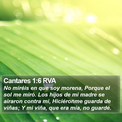 Cantares 1:6 RVA Bible Verse Image