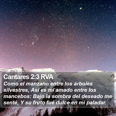 Cantares 2:3 RVA Bible Verse Image