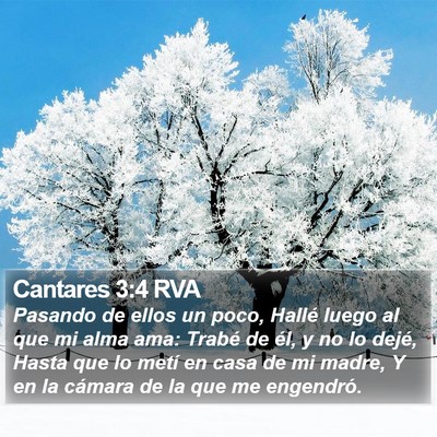Cantares 3:4 RVA Bible Verse Image
