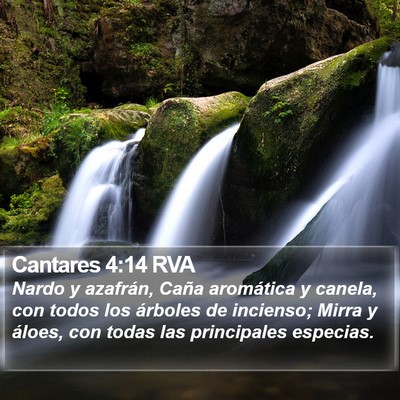 Cantares 4:14 RVA Bible Verse Image