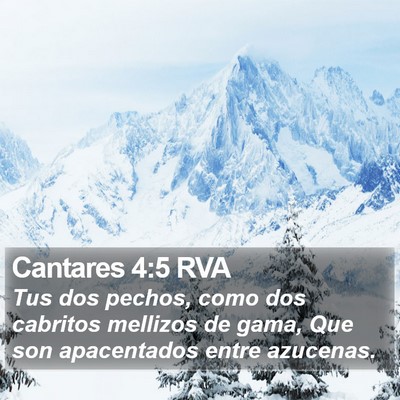 Cantares 4:5 RVA Bible Verse Image
