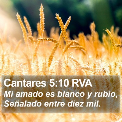 Cantares 5:10 RVA Bible Verse Image