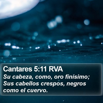 Cantares 5:11 RVA Bible Verse Image