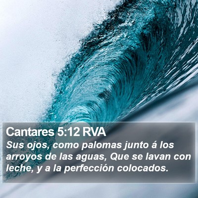 Cantares 5:12 RVA Bible Verse Image