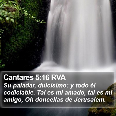 Cantares 5:16 RVA Bible Verse Image