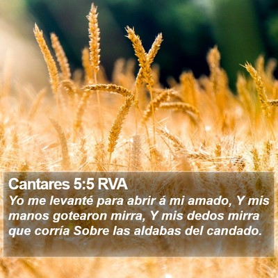 Cantares 5:5 RVA Bible Verse Image