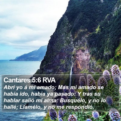 Cantares 5:6 RVA Bible Verse Image