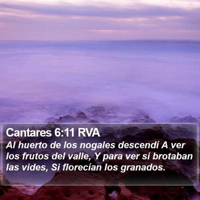 Cantares 6:11 RVA Bible Verse Image