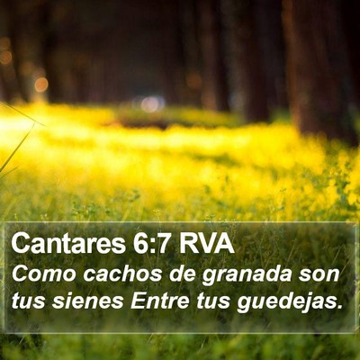 Cantares 6:7 RVA Bible Verse Image