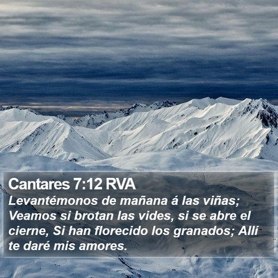 Cantares 7:12 RVA Bible Verse Image