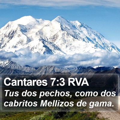 Cantares 7:3 RVA Bible Verse Image