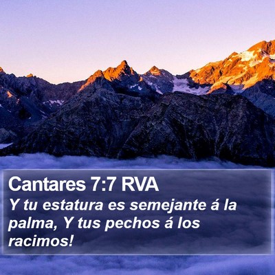 Cantares 7:7 RVA Bible Verse Image