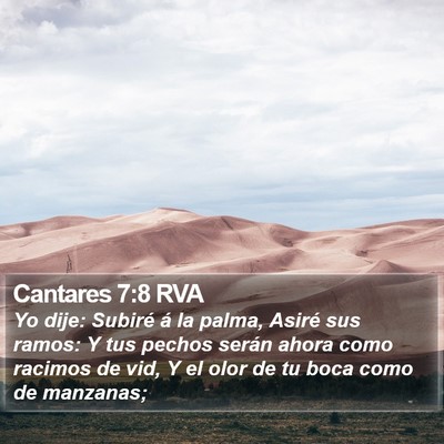 Cantares 7:8 RVA Bible Verse Image