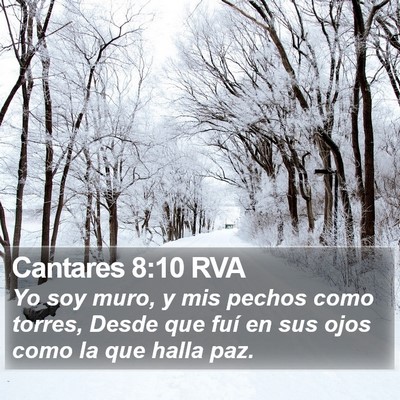 Cantares 8:10 RVA Bible Verse Image