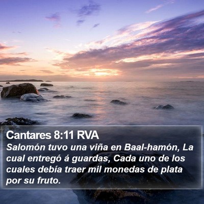 Cantares 8:11 RVA Bible Verse Image