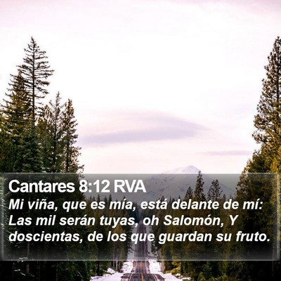 Cantares 8:12 RVA Bible Verse Image